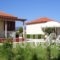 Beach Bungalows_accommodation_in_Hotel_Ionian Islands_Zakinthos_Alykes