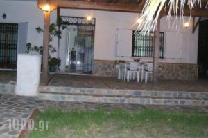 Rose Garden Holiday Home_holidays_in_Hotel_Central Greece_Attica_Athens