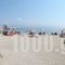 Eros Beach Hotel_best prices_in_Hotel_Ionian Islands_Corfu_Corfu Rest Areas