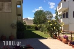 Vassilis Studios in Athens, Attica, Central Greece