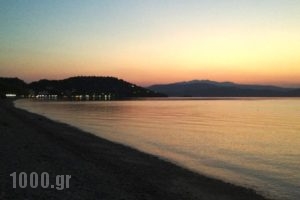 Vassilis Studios_lowest prices_in_Hotel_Central Greece_Evia_Neos Pyrgos