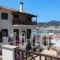 Pleoussa Studio and Apartments_holidays_in_Apartment_Sporades Islands_Skopelos_Skopelos Chora