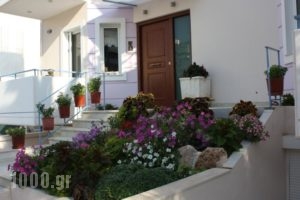 Veggie Garden Athens B&B_accommodation_in_Hotel_Central Greece_Attica_Elliniko