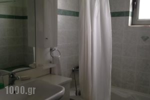 To Selas_lowest prices_in_Hotel_Peloponesse_Lakonia_Sarti