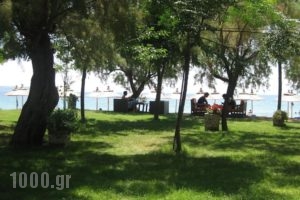 Develiki Rooms for Rent_holidays_in_Room_Macedonia_Halkidiki_Ierissos