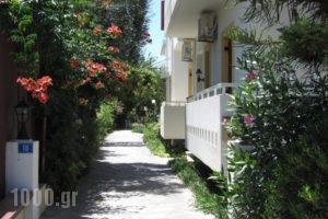 Michael Apartments_travel_packages_in_Crete_Rethymnon_Rethymnon City