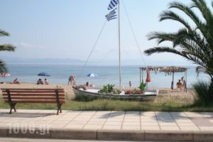 Haus Niko_best deals_Hotel_Macedonia_Halkidiki_Nea Moudania