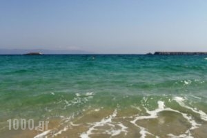 Blue Dolphin_holidays_in_Hotel_Cyclades Islands_Antiparos_Antiparos Chora