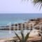 Blue Dolphin_best deals_Hotel_Cyclades Islands_Antiparos_Antiparos Chora