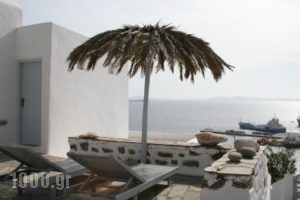 Vista Loca_travel_packages_in_Cyclades Islands_Mykonos_Mykonos ora