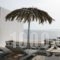 Vista Loca_travel_packages_in_Cyclades Islands_Mykonos_Mykonos ora