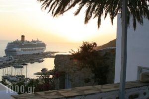 Vista Loca_best prices_in_Hotel_Cyclades Islands_Mykonos_Mykonos ora