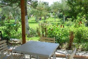 Akti Studios_best prices_in_Hotel_Ionian Islands_Lefkada_Lefkada's t Areas