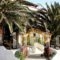 To Oneiro_accommodation_in_Hotel_Cyclades Islands_Kea_Korisia