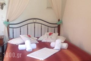 Prasino Oniro_holidays_in_Hotel_Cyclades Islands_Tinos_Tinosora