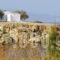 Marathakis Apartments_best deals_Apartment_Crete_Chania_Galatas