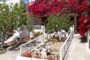 Scarpantos_best prices_in_Hotel_Dodekanessos Islands_Karpathos_Karpathos Chora