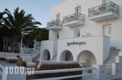 Ippokampos Beachfront in Naxos Chora, Naxos, Cyclades Islands