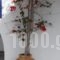 Porto Apergis_lowest prices_in_Hotel_Cyclades Islands_Tinos_Tinosst Areas