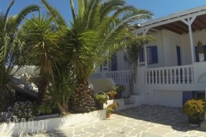 Kavaki Studios_holidays_in_Hotel_Cyclades Islands_Mykonos_Mykonos Chora