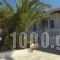 Kavaki Studios_holidays_in_Hotel_Cyclades Islands_Mykonos_Mykonos Chora
