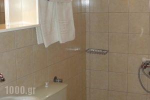 Alkmini_best prices_in_Hotel_Thessaly_Magnesia_Zagora