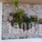 Liberty II_best deals_Hotel_PiraeusIslands - Trizonia_Aigina_Aigina Chora