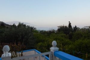 Afroditi Studios_best deals_Hotel_Dodekanessos Islands_Rhodes_Stegna