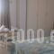Camelia Studios & Apartments_best prices_in_Apartment_Crete_Chania_Stalos