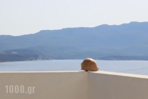 Margarita Rooms_best prices_in_Room_Cyclades Islands_Milos_Milos Chora