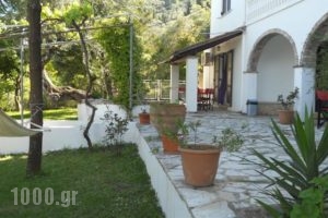 Gina Studios_accommodation_in_Hotel_Ionian Islands_Corfu_Corfu Rest Areas