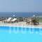 Carlo Bungalows_travel_packages_in_Cyclades Islands_Mykonos_Mykonos ora