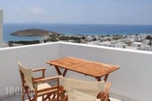 Carlo Bungalows_holidays_in_Hotel_Cyclades Islands_Mykonos_Mykonos ora