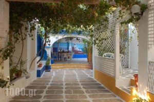 Miltiadis Apartments_best deals_Apartment_Cyclades Islands_Paros_Paros Rest Areas