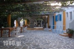Miltiadis Apartments in Paros Rest Areas, Paros, Cyclades Islands