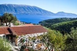 Fiskardo Olive Cottage in Athens, Attica, Central Greece