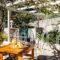 Fiskardo Olive Cottage_lowest prices_in_Hotel_Ionian Islands_Kefalonia_Fiskardo