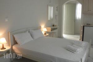 Anemos Studios_travel_packages_in_Cyclades Islands_Naxos_Naxos chora