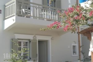 Anemos Studios_accommodation_in_Hotel_Cyclades Islands_Naxos_Naxos chora