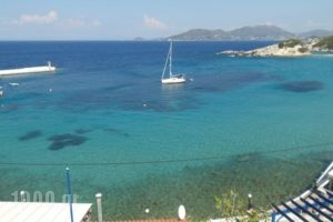 Studios Loukia_accommodation_in_Hotel_Aegean Islands_Samos_Samos Rest Areas