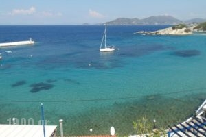 Studios Loukia_accommodation_in_Hotel_Aegean Islands_Samos_Samos Rest Areas