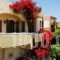 Malia Studios Hotel-Apartments_accommodation_in_Apartment_Crete_Heraklion_Malia