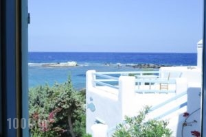 Christo Rooms & Studios_lowest prices_in_Room_Cyclades Islands_Milos_Apollonia