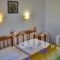 Hotel Theo_best prices_in_Hotel_Aegean Islands_Thassos_Thassos Chora