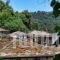 Hotel Theo_holidays_in_Hotel_Aegean Islands_Thassos_Thassos Chora