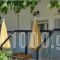 Hotel Theo_best deals_Hotel_Aegean Islands_Thassos_Thassos Chora