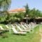 Mouria Studios_best deals_Hotel_Peloponesse_Argolida_Archea (Palea) Epidavros