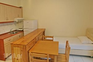 Adonis_best deals_Hotel_Macedonia_Halkidiki_Haniotis - Chaniotis