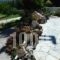 Villa Feggari_holidays_in_Villa_Crete_Lasithi_Anatoli