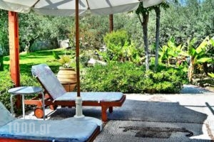 Villa Galini Lindos_accommodation_in_Villa_Dodekanessos Islands_Rhodes_Lindos